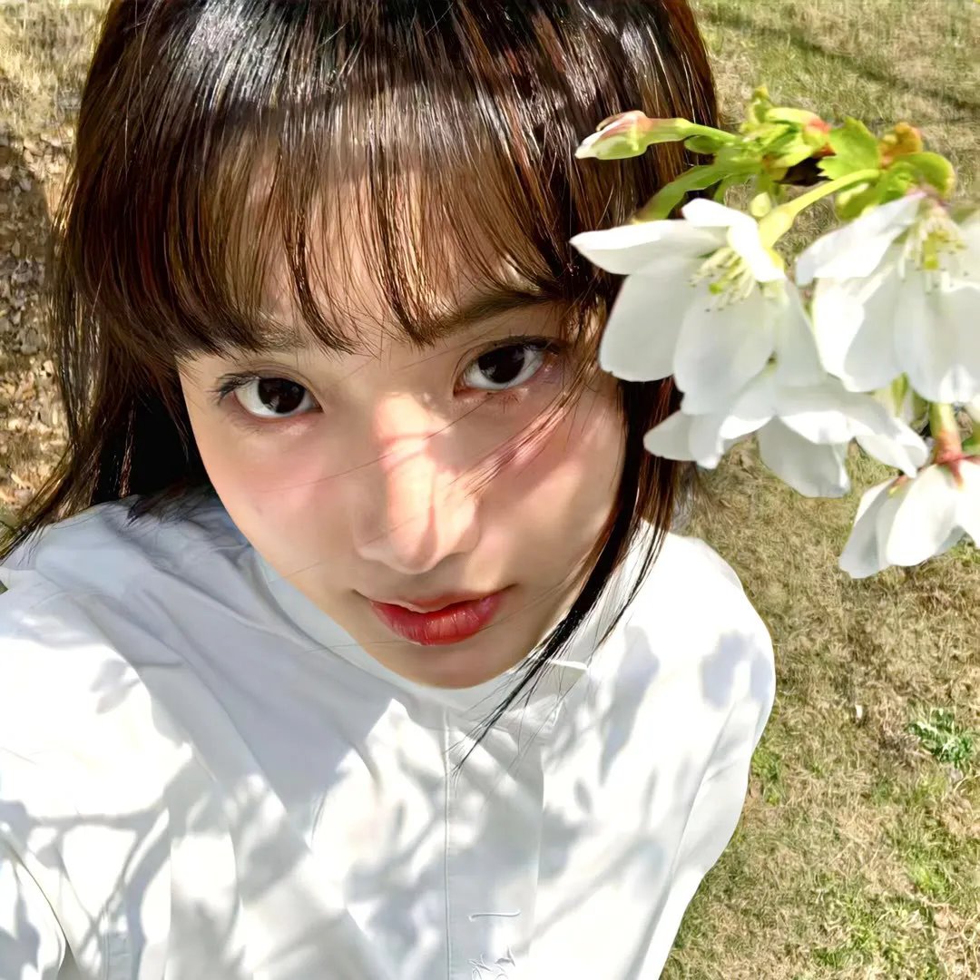 当樱花盛开